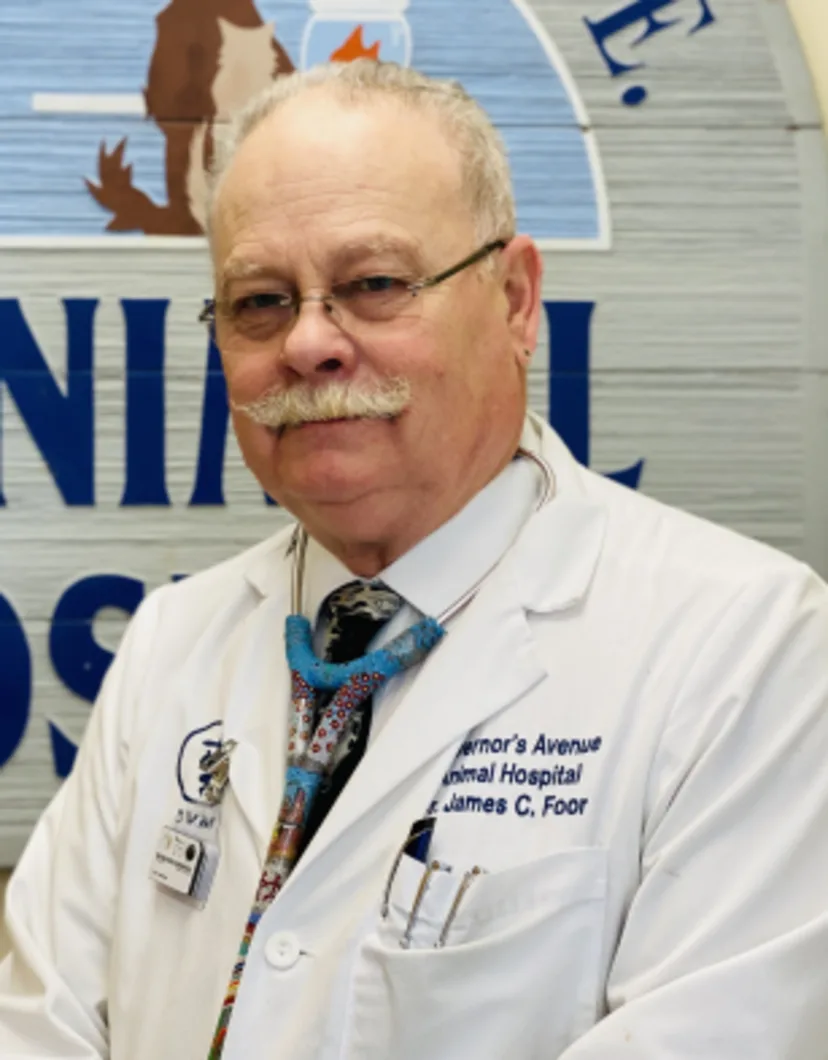 Dr. James Foor of Governor's Avenue Animal Hospital